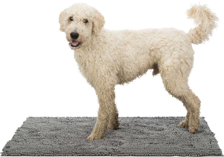 TRIXIE Schmutzfangmatte